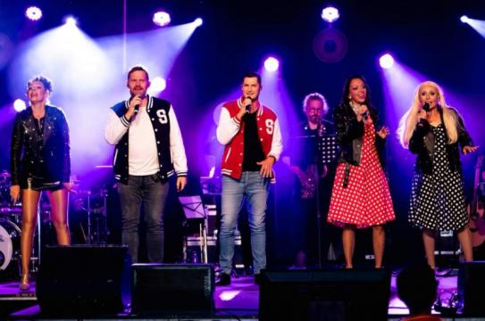 LE MEILLEUR DES COMEDIES MUSICALES